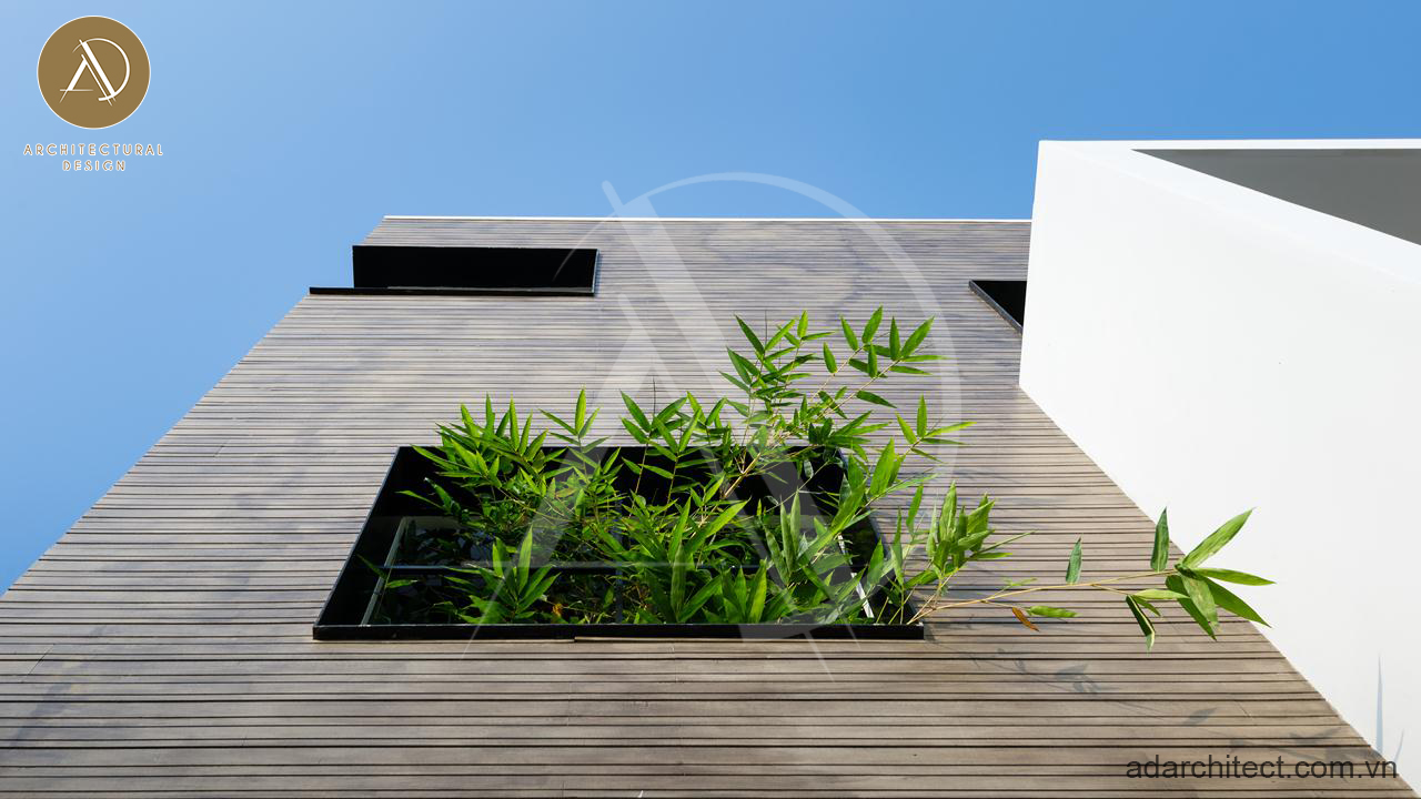 Thiết kế nhà 3 tầng 8x10m: nhà có cây xanh