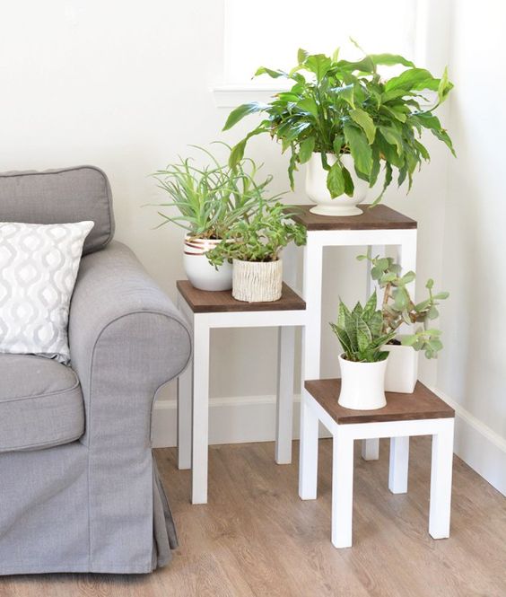 đồ decor phòng khách: Đặt chậu cây trong nhà mang lại cảm giác như được hòa mình vào thiên nhiên