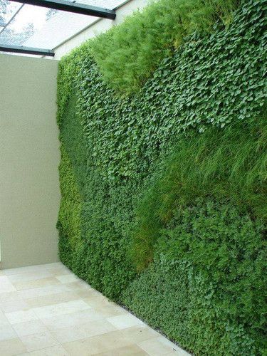 cách chống nắng cho nhà: Dùng lưới đen che nắng cho cây để phủ tường nhà