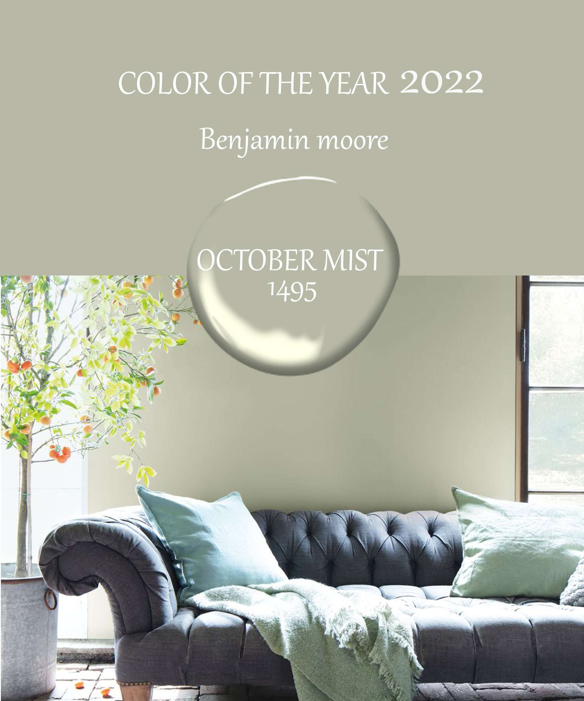 benjamin công bố màu sắc nội thất trending 2022